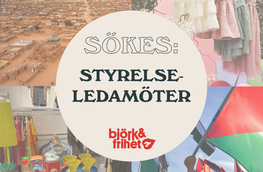 Vi söker styrelseledamöter som brinner…